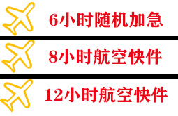 石家庄正定空运公司快递公司,专业空运当天件